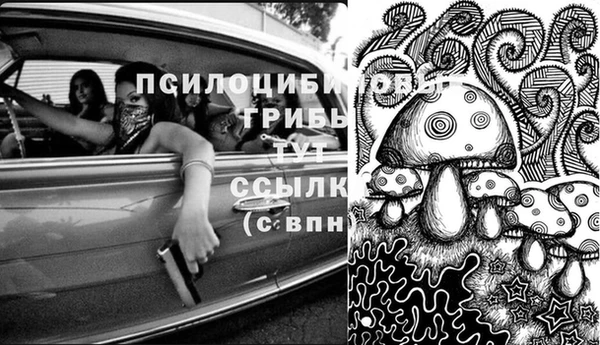прущий лед Абаза