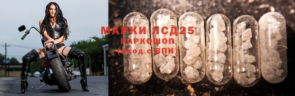 молекула духа Абинск