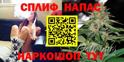 СК Пугачёв